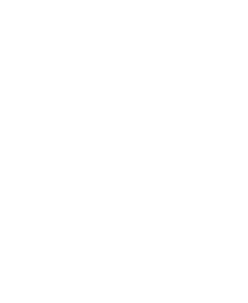 Lazzara Gestion